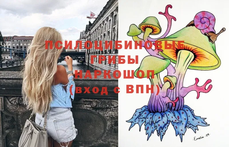 hydra как войти  Буйнакск  Галлюциногенные грибы Psilocybe 